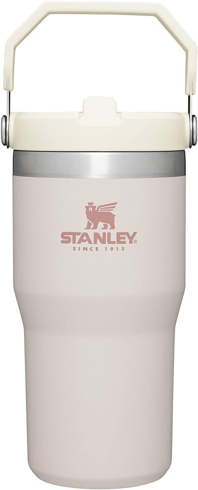 Amazon.com: Stanley IceFlow Stainless Steel Tumbler with Straw - Vacuum Insulated Water Bottle fo... | Amazon (US)