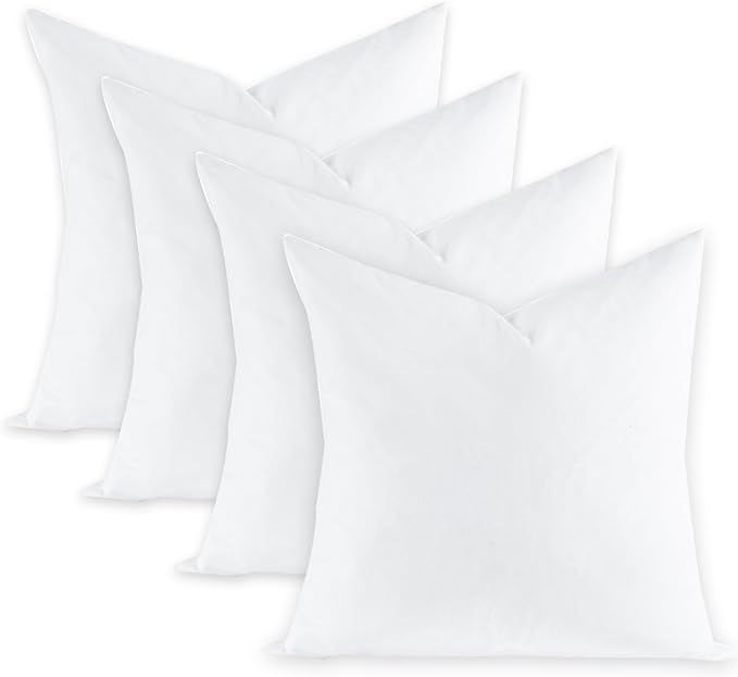 Fluffy Feather Throw Pillow Inserts Set of 4, Soft Square 20 x 20 Inches Decorative Pillow Insert... | Amazon (US)