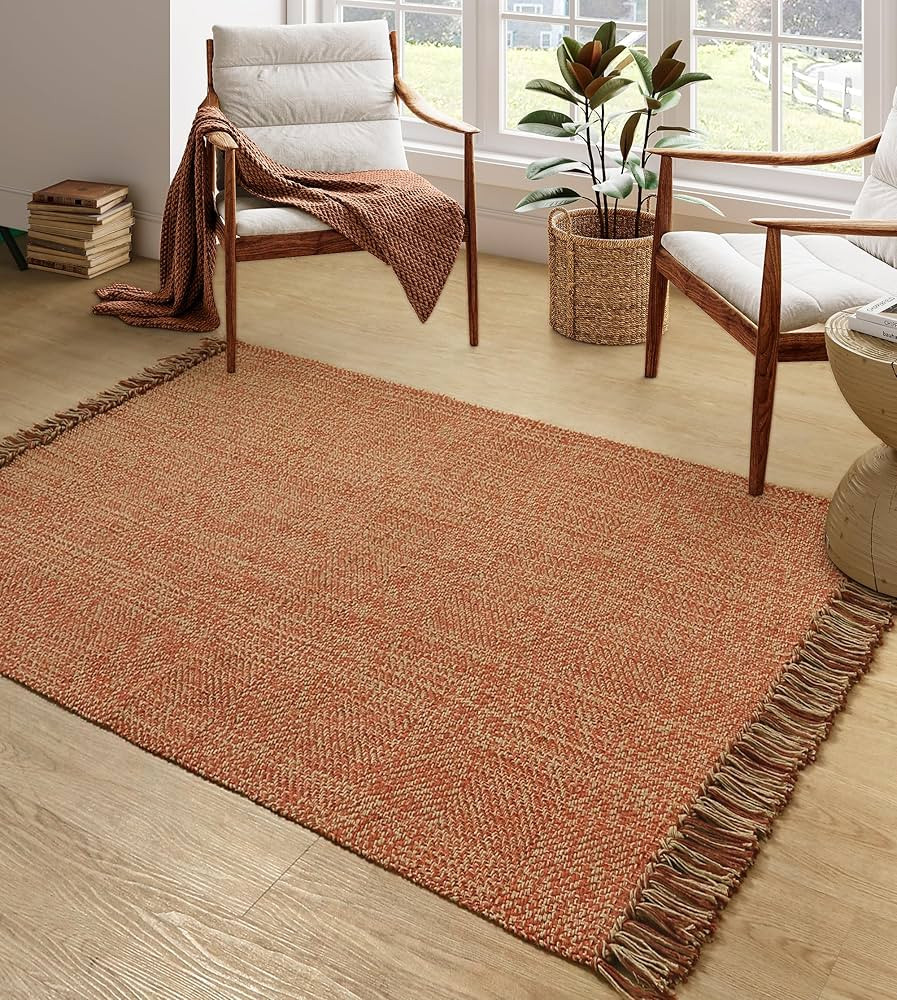 Collive Comfy Area Rug 4' x 6', Terra Woven Cotton Bedroom Rugs, Modern Indoor Accent Rug Floor C... | Amazon (US)