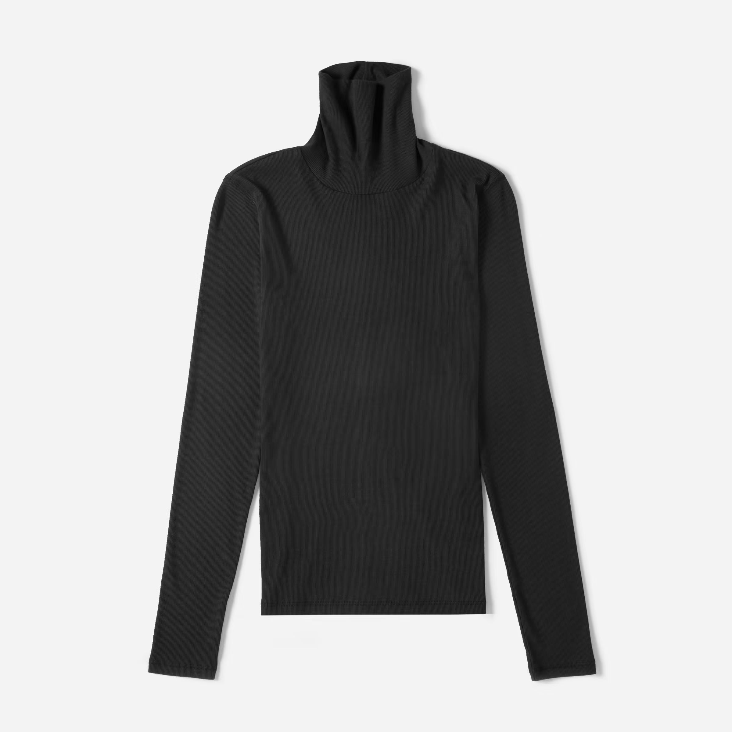 The Pima Micro-Rib Turtleneck | Everlane