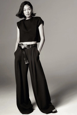The Avery Pleated Wide-Leg Trousers by Maeve | Anthropologie (US)