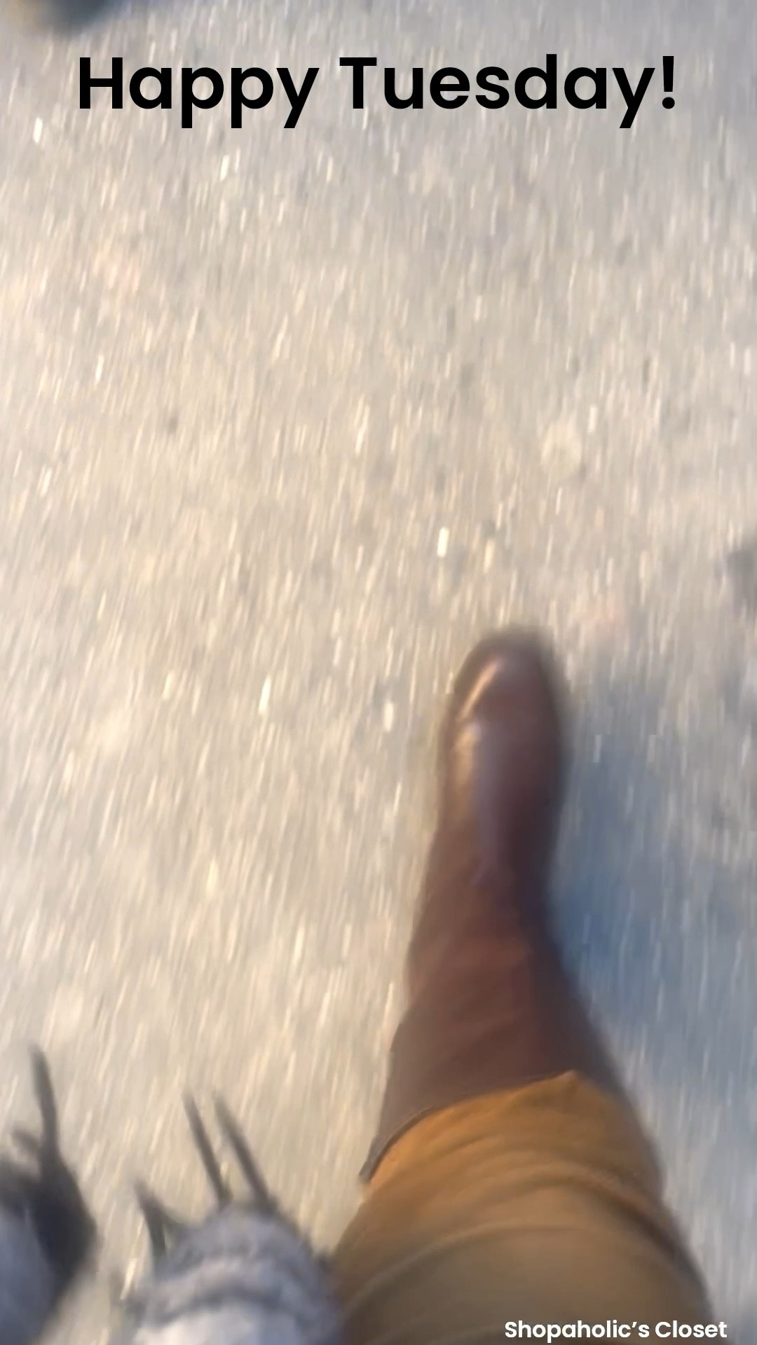 Happy Shoesday! It is definitely a boot day. Stay warm 🥶

#shopdeescloset #shopaholicscloset

#LTKdayinmylife