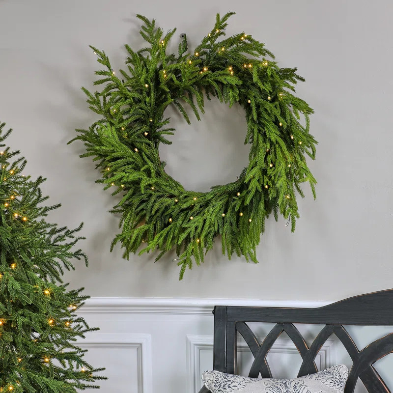 24"Led Battery Operated Timer Natural Touch Norfolk Pine Wreath | Wayfair North America