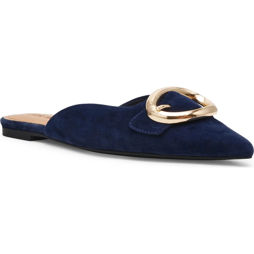 Steve Madden Ira Pointed Toe Mule in Navy Suede at Nordstrom, Size 7.5 | Nordstrom