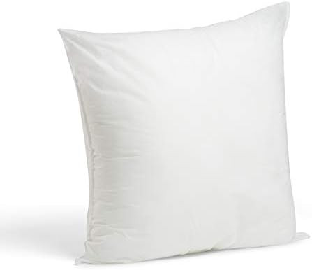 Foamily Premium Hypoallergenic Stuffer Pillow Insert Sham Square Form Polyester, 22" L X 22" W, S... | Amazon (US)