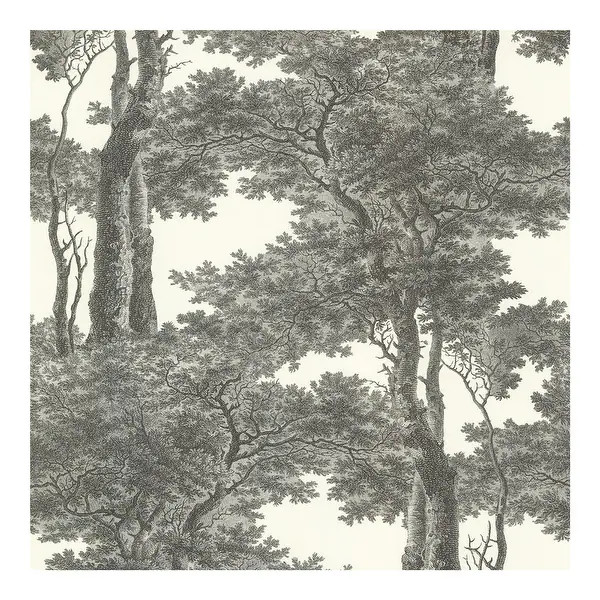 Overstock.com: Online Shopping - Bedding, Furniture, Electronics, Jewelry, Clothing & more | Bed Bath & Beyond