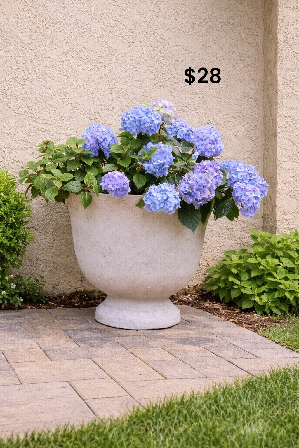 WTH!!!! Textured 20” planter only $28! Brand new at Walmart! Will sellout in less than 24 hours (iykyk) 🤪🏃‍♀️😍

#LTKSeasonal #LTKSpringSale