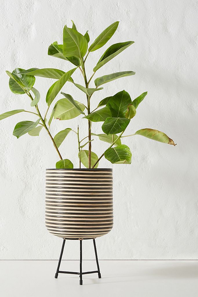 Annisa Planter | Anthropologie (US)