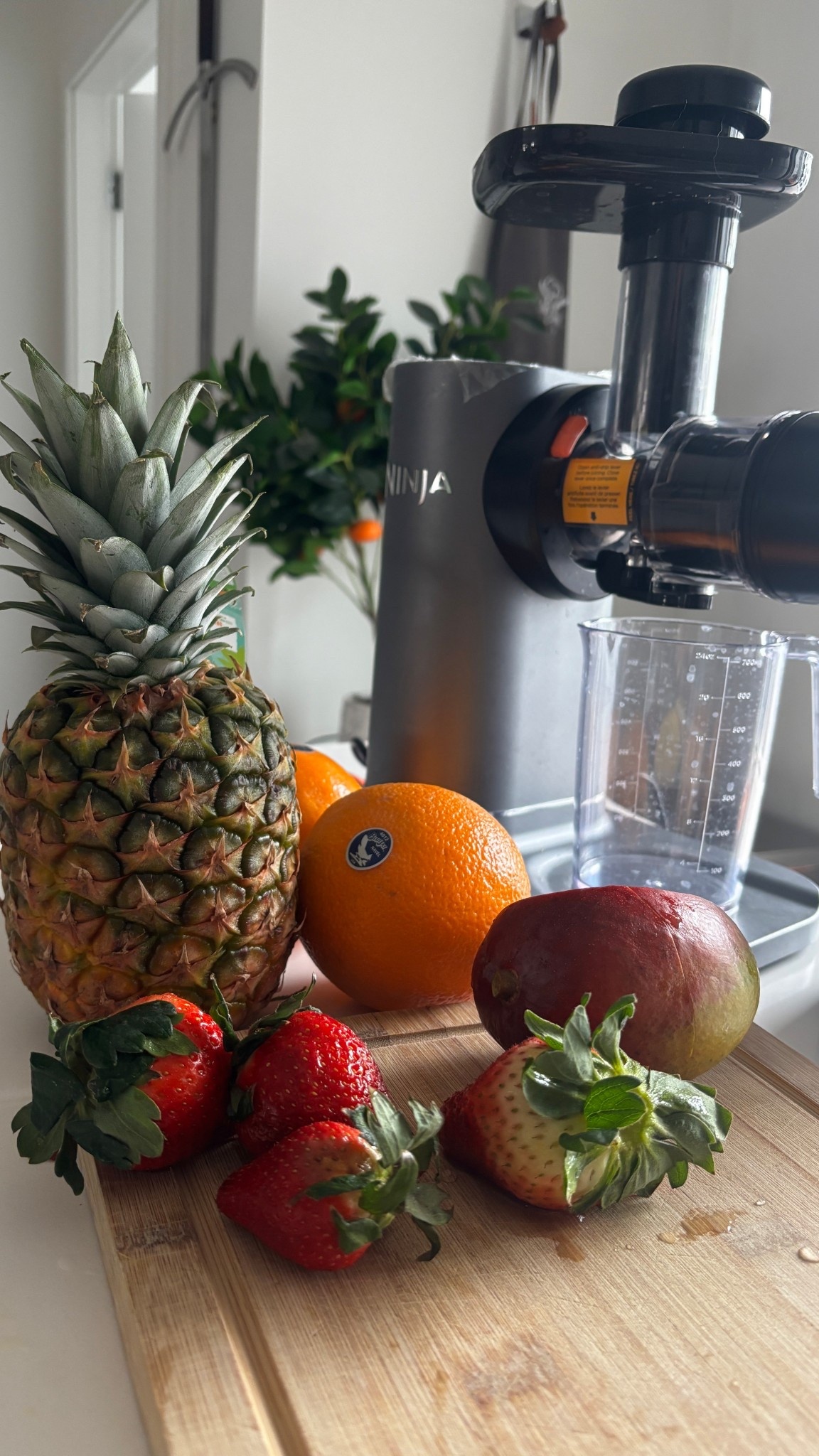 Juicing never felt so easy 

#LTKdayinmylife #LTKfitnessgoals #LTKfoodie
