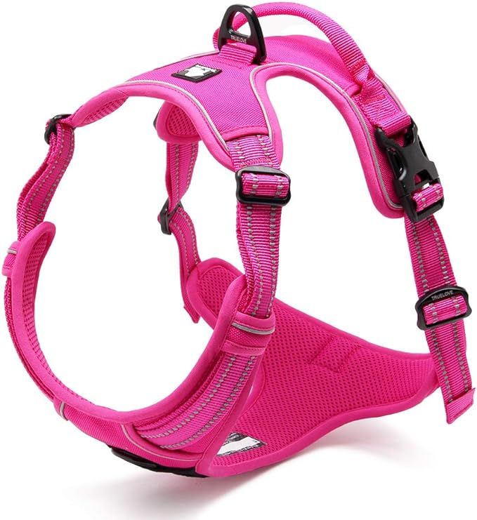 Chai's Choice Best Outdoor Adventure Dog Harness. 3M Reflective Vest with Two Leash Attachments. ... | Amazon (US)