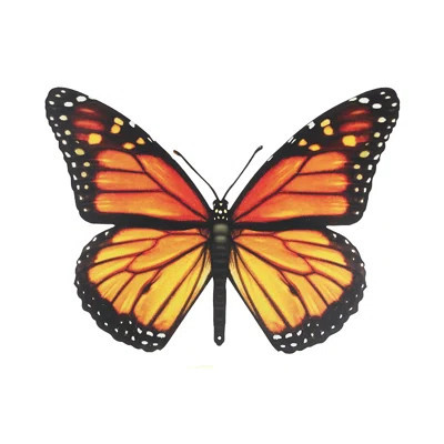 Butterfly Wall Decor | Wayfair North America