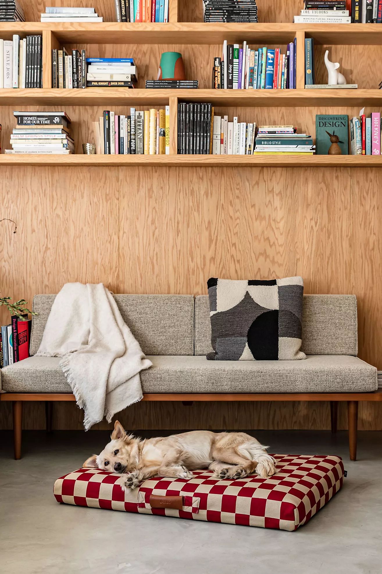 LAY LO Pets Checker Dog Bed | Anthropologie (US)