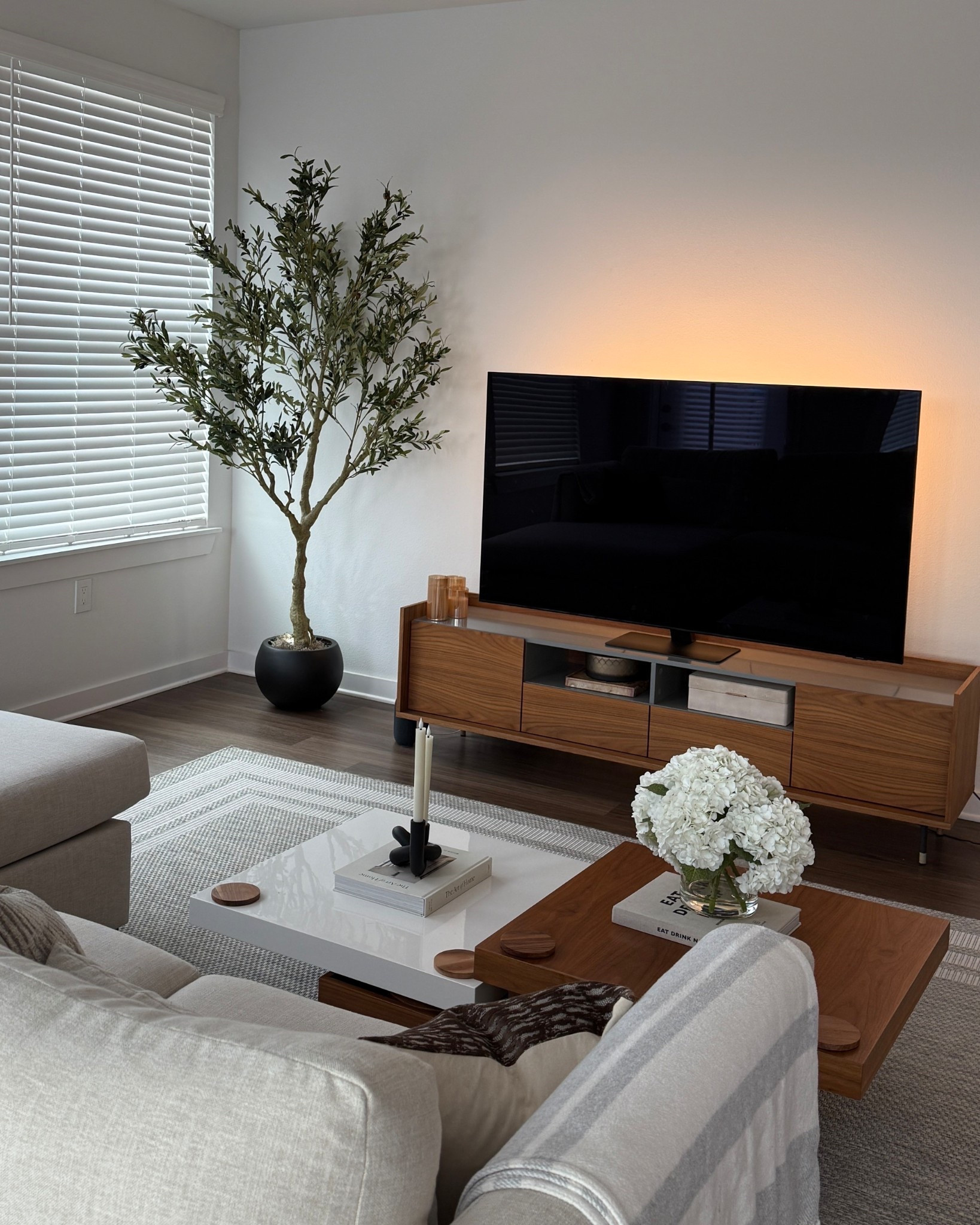 This olive tree is such a gorgeous addition to our living space! 

#LTKhome #LTKsale #LTKluxury