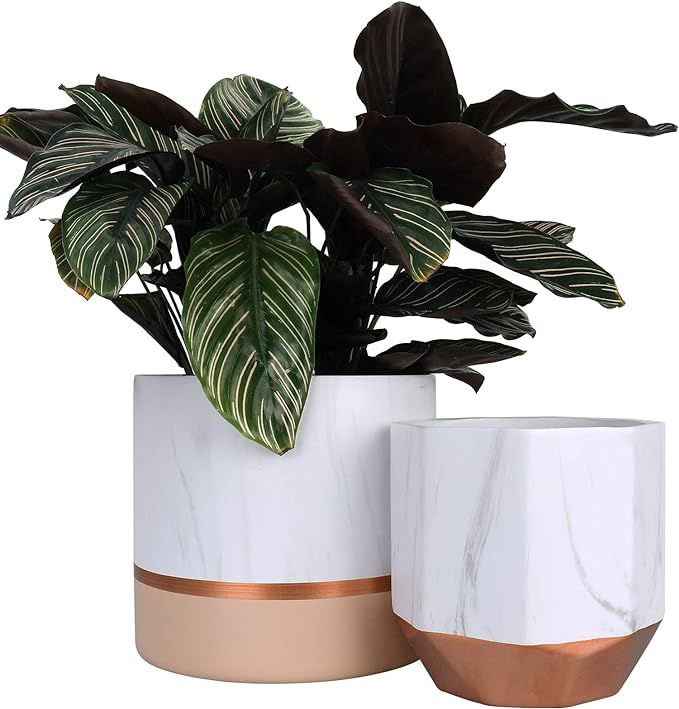 LA JOLIE MUSE White Ceramic Flower Pots - 6.7 + 5.4 Inch Indoor Planters, Plant Containers in a M... | Amazon (US)