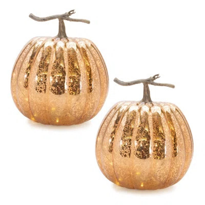 LED Mercury Glass Pumpkin Décor (Set of 2) | Wayfair North America