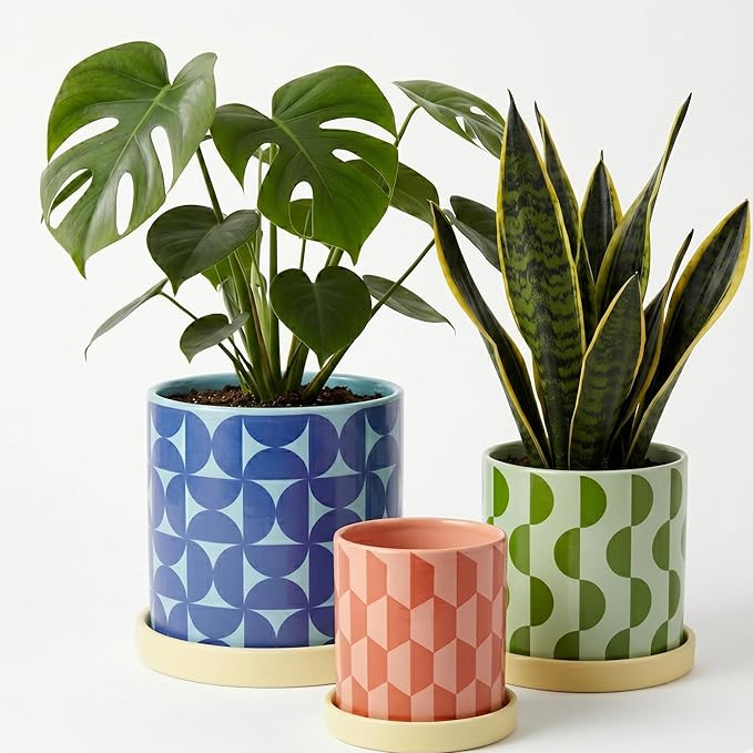 Ceramic Plant Pots for Indoor Plants, Set of 3 Geometric Planters with Drainage Hole & Saucer, Co... | Amazon (US)