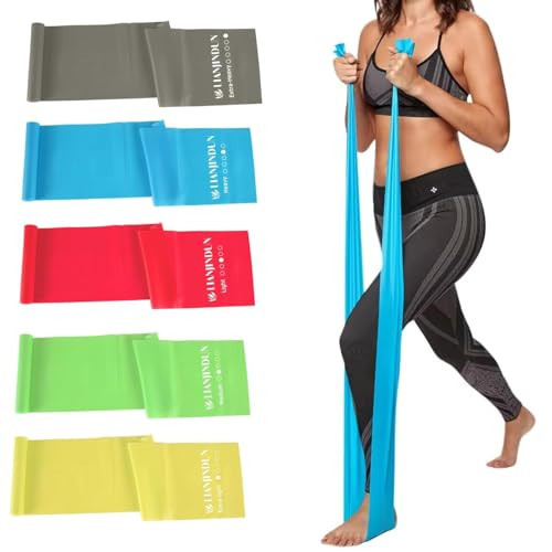 Lianjindun 5 Pcs Professional Resistance Bands. Latex-Free, Pilates Band, Work Out Bands, Stretch Bands for Working Out Women or Men, Exercise Bands Set for Pilates, Physical Therapy, Yoga | Amazon (US)