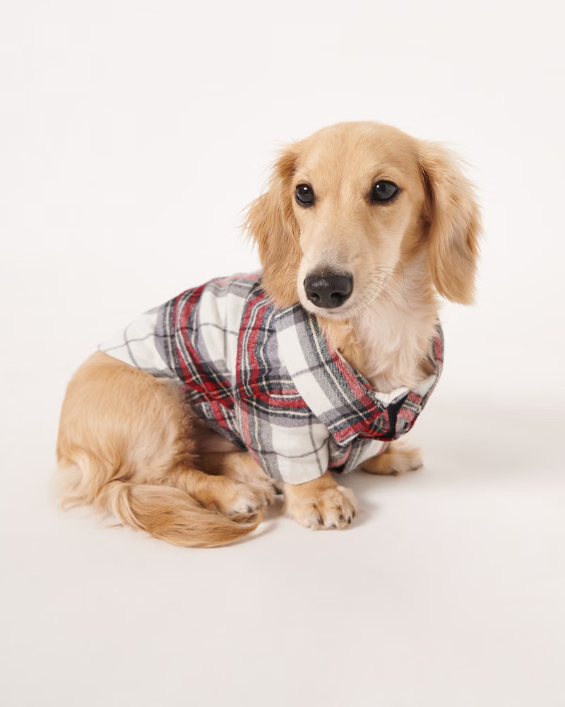 A&F Pet Flannel | Abercrombie & Fitch (US)