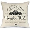 AENEY Fall Pillow Cover 18x18 inch Pumpkin Patch Throw Pillow for Fall Decor Farmhouse Fall Decor... | Amazon (US)