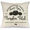 AENEY Fall Pillow Cover 18x18 inch Pumpkin Patch Throw Pillow for Fall Decor Farmhouse Fall Decor... | Amazon (US)
