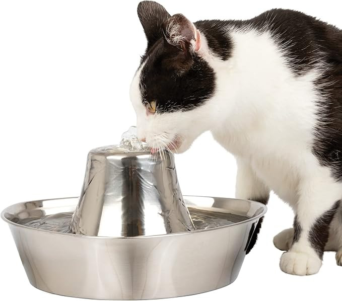 PetSafe Seaside Stainless Pet Fountain | Amazon (US)
