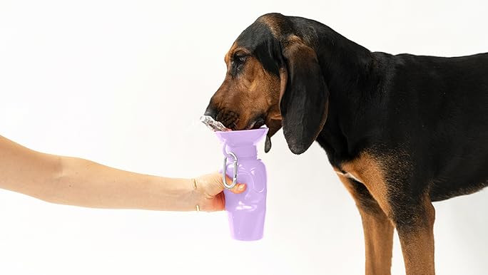 Pet Supplies : Springer Indigo Dog Travel 22oz Classic Water Bottle, As Seen on Shark Tank, Paten... | Amazon (US)