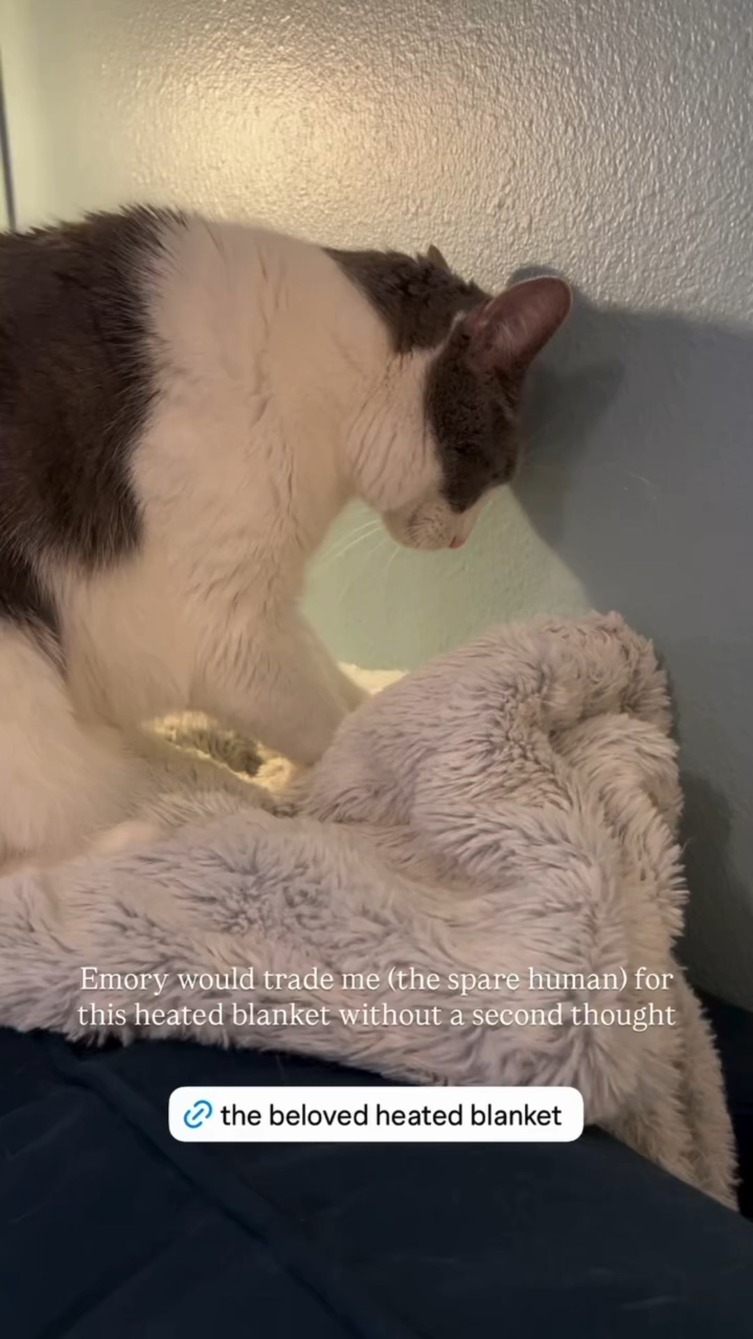 My cat Emory would trade me (the spare human) for this heated blanket without a second thought. 

#LTKSeasonal #LTKPets #LTKHome