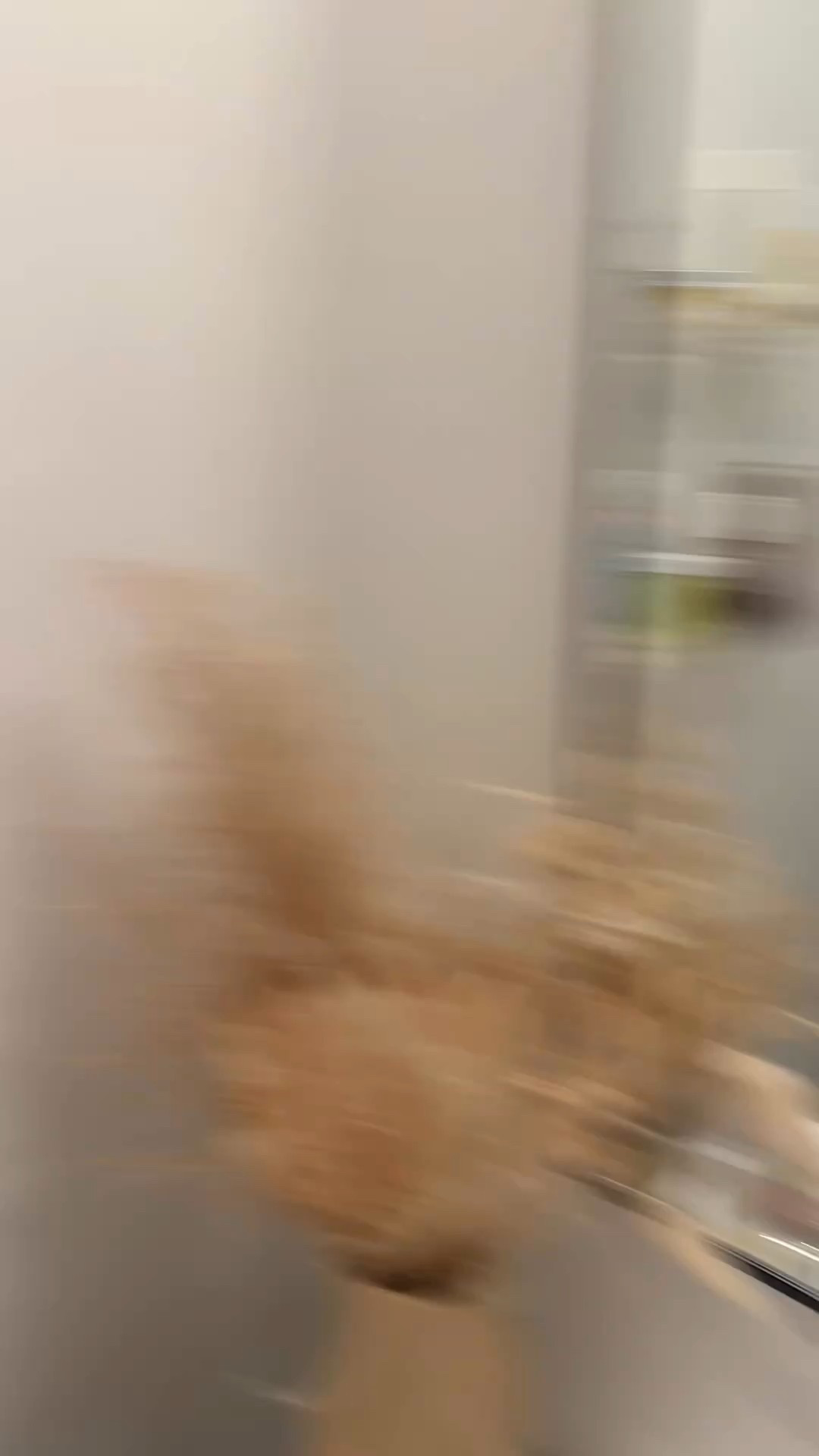 Some of my Sephora sale favorites!! ✨🛍️

#LTKBeauty