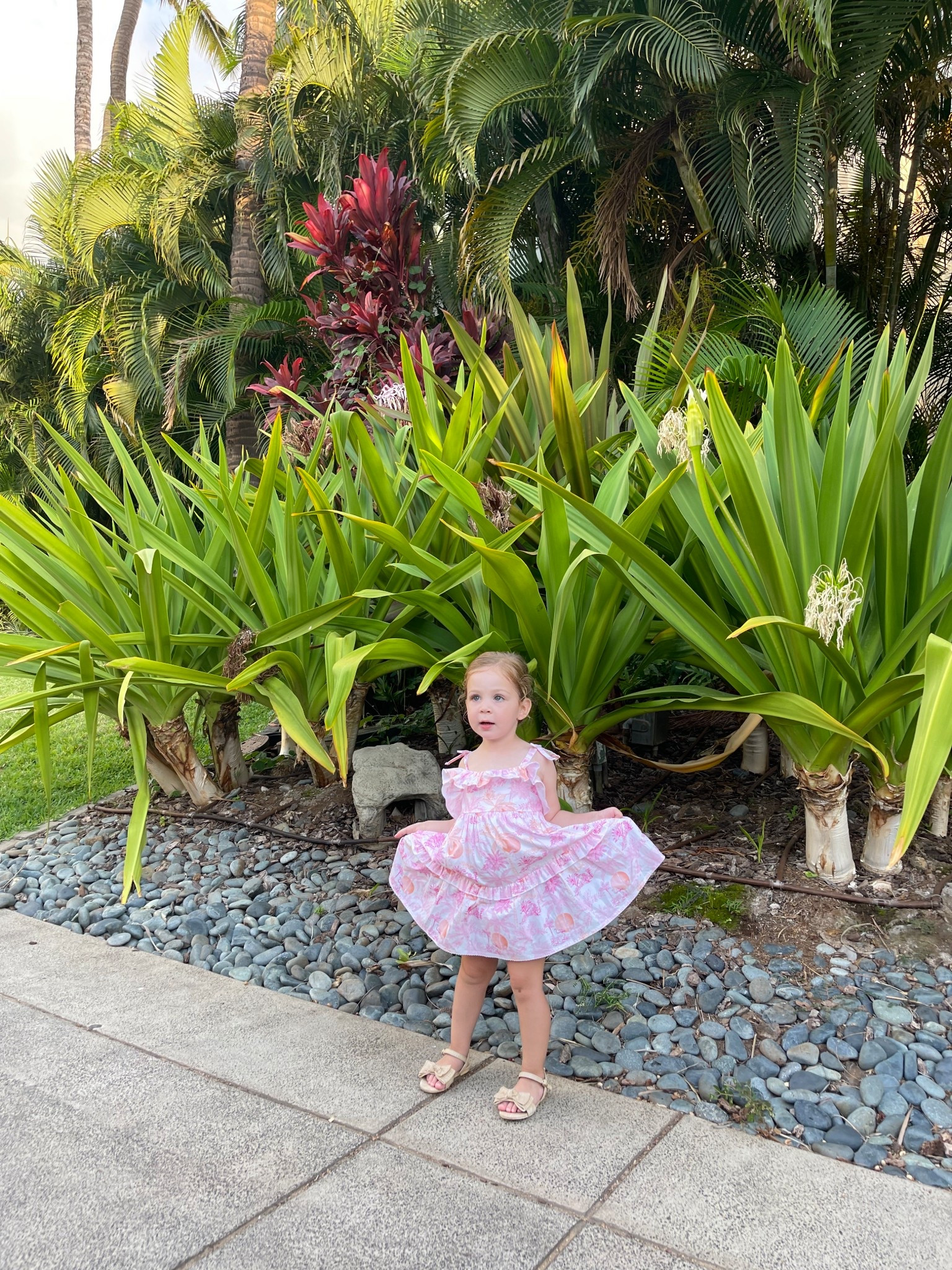 Toddler girl dress , Janie and Jack 

#LTKKids