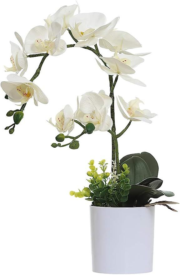 Omygarden White Orchid Artificial Flowers in Pot, Fake Plastic Orchid Flowers, Decoration for Hom... | Amazon (US)