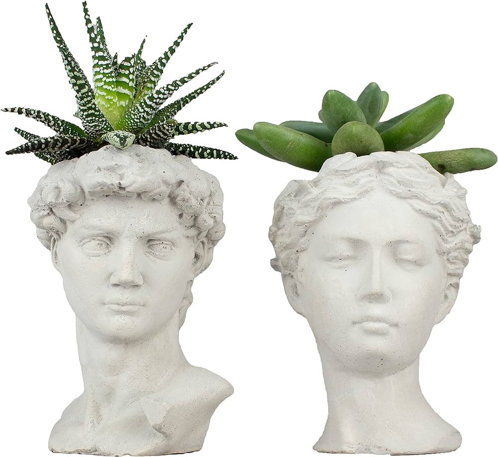 Unique Head Planter Succulent Pots - Greek Mythology Helen David Face Statue Bust Concrete Indoor... | Amazon (US)