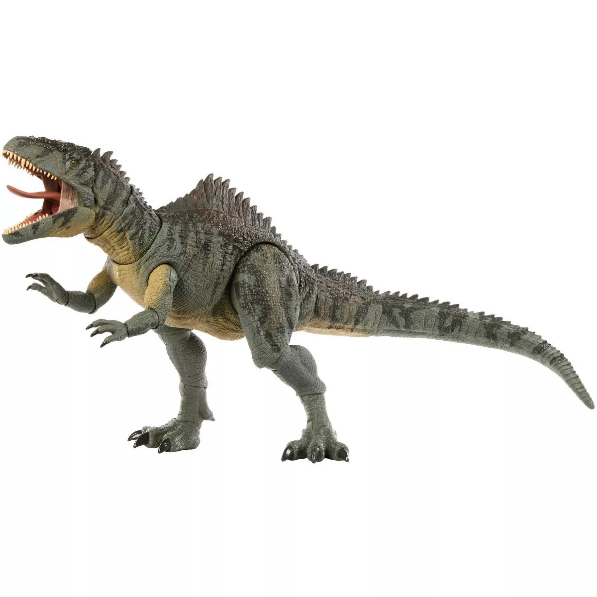Jurassic World Hammond Collection Giganotosaurus Action Figure | Target