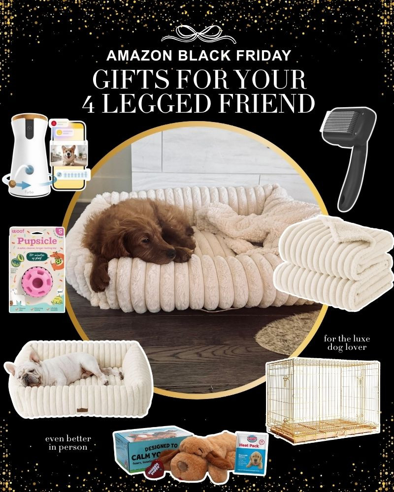 Amazon Black Friday Sale pet gifts! Meet my new puppy Iverson and her new faves. Great for your own pooch or to gift a dog mom 🐾