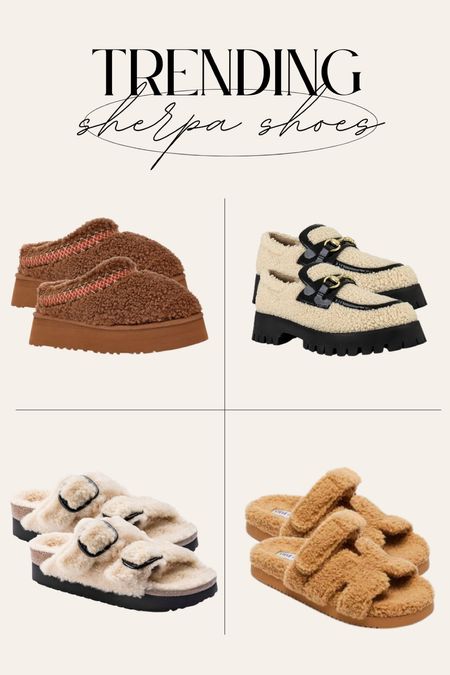 Sherpa Shoes 🍂
birkenstocks, Uggs, Steve Madden, platform Uggs, fall shoes, trending shoes 

#LTKSeasonal #LTKshoecrush