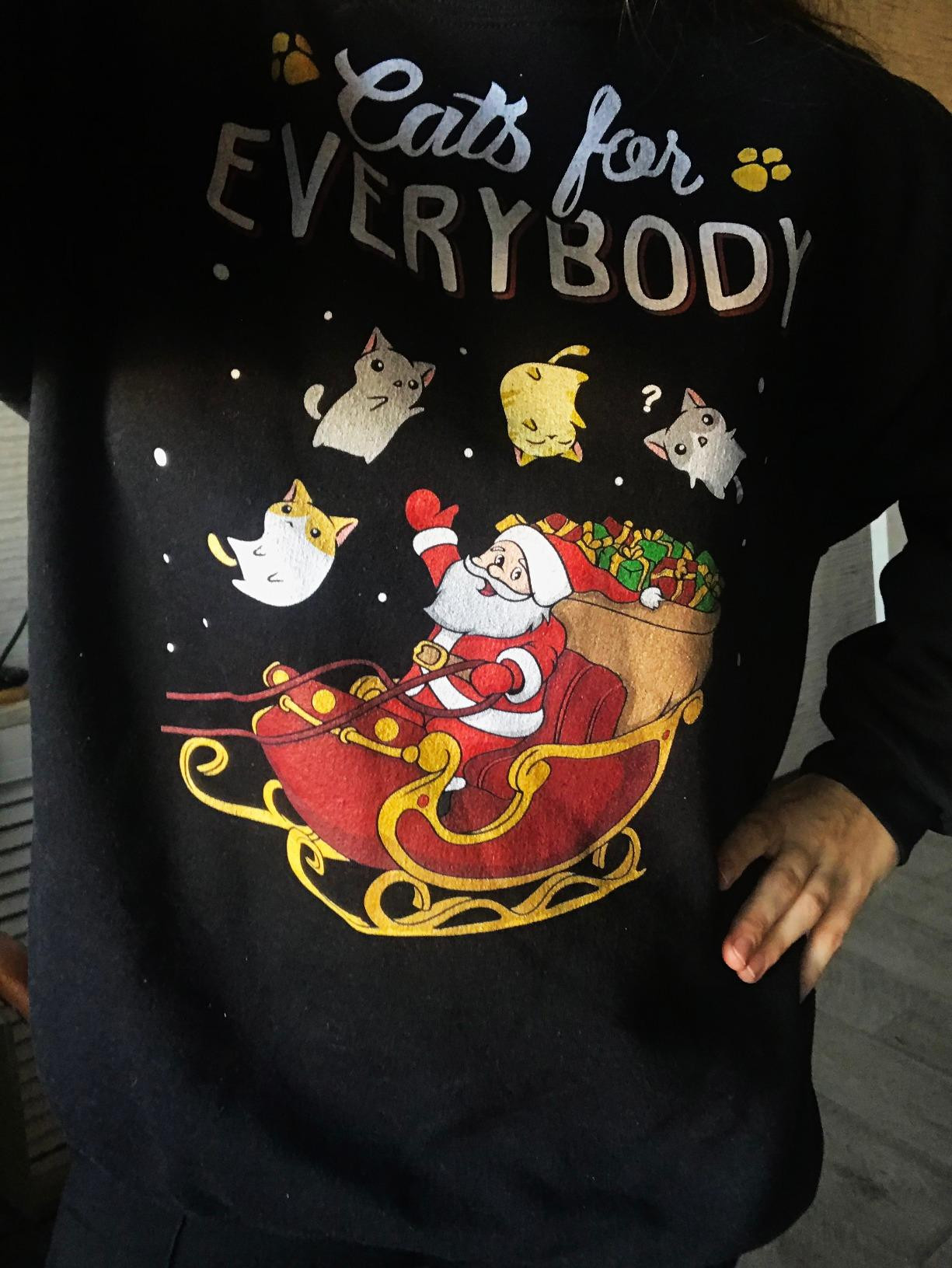 Cats For Everybody Cat Christmas Ugly Christmas Sweatshirt Christmas Sweatshirt Outfit Black Top | Amazon (US)