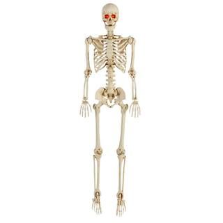 Home Accents Holiday 5 ft Halloween Posable Skeleton Hanging Décor with LED Eyes 5349-60272HD - ... | The Home Depot