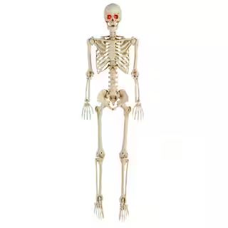 Home Accents Holiday 5 ft Halloween Posable Skeleton Hanging Décor with LED Eyes 5349-60272HD - ... | The Home Depot