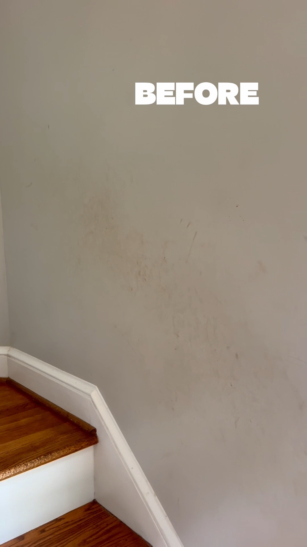 I kid you not, they were cleaning but kept asking for more spots because they were loving it. If you, too, want to trick your kids into cleaning for fun - this is a good one. 

#LTKFamily #LTKSaleAlert #LTKHome