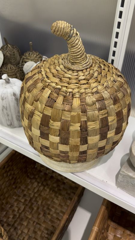 I love this oversized wicker pumpkin at target! They have so many great faux pumpkins and fall decor out right now!
..............
Wicker pumpkin, fall decor, faux pumpkin, pottery barn dupe, studio McGee dupe, fall decorations, fall centerpiece, fall entry table, fall mantle, fall mantel, fake pumpkin, ceramic pumpkin, target new arrivals, fall blanket, fall florals, fall stems, faux leaves, fall branches, fall pillows, fall home decor, fall wreath, fall vase filler 

#LTKfamily #LTKSeasonal #LTKhome