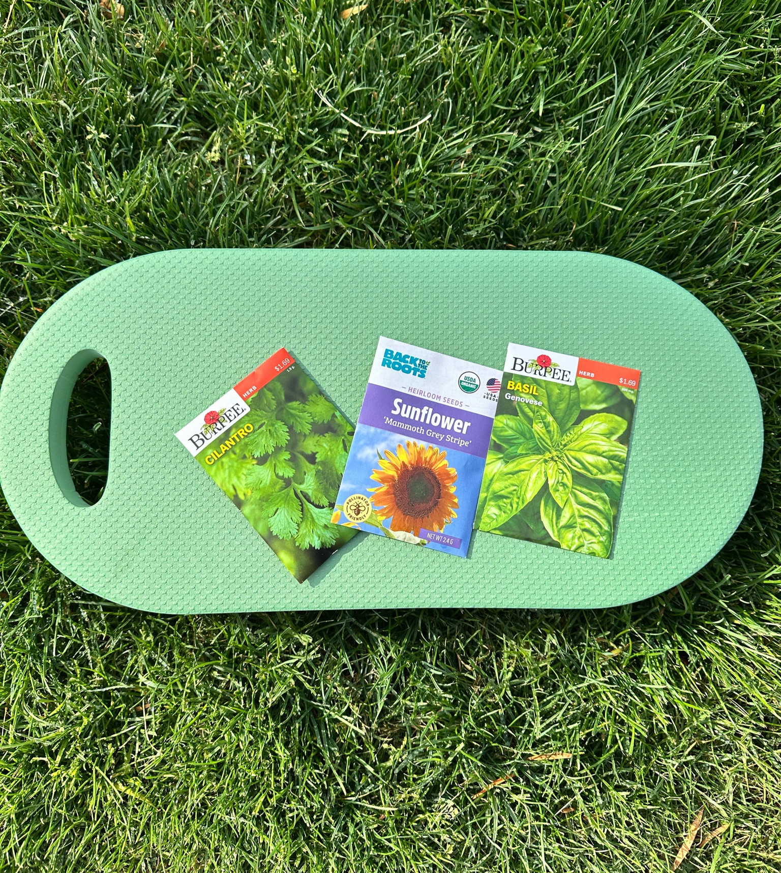 It’s time to plant more seeds in my garden! I picked up a few more items at Target.

#LTKFindsUnder50 #LTKHome