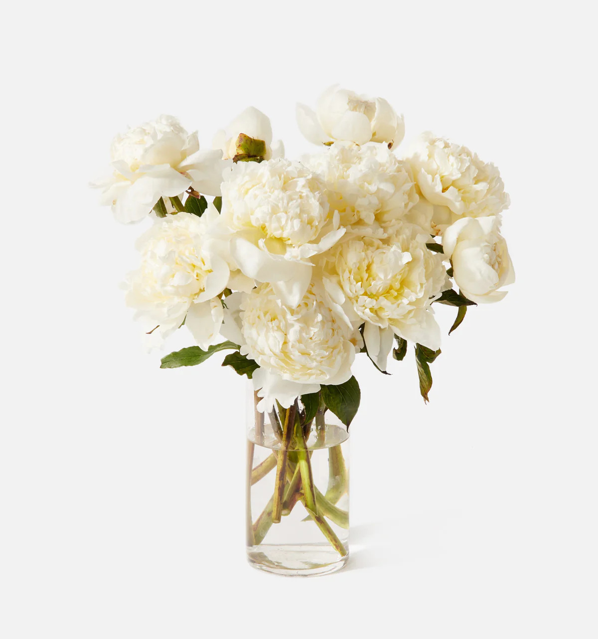 The Pearl | UrbanStems