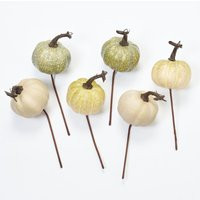 Cream & Green Assorted Mini Pumpkin Picks Set Of 6 Stems - 10'' | Etsy (US)