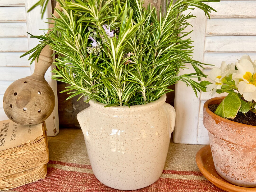 Antique French confit pot, vintage beige speckled hand thrown storage jar, small size glazed ston... | Etsy (US)