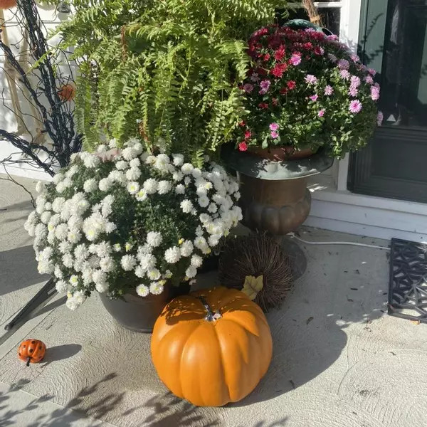 14" Large Painted Pumpkin Halloween Decorative Sculpture - Hyde & EEK! Boutique™ | Target