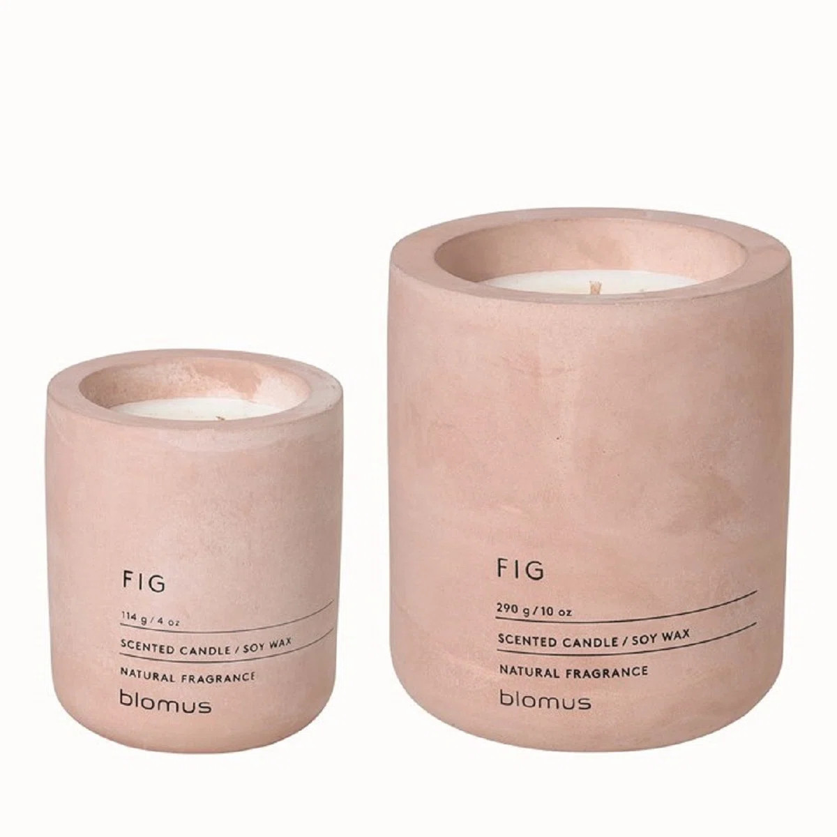 FRAGA Scented Jar Candle Set | Wayfair North America