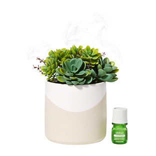 Lifelines Plant Diffuser - Grass Plant Multi | The Container Store