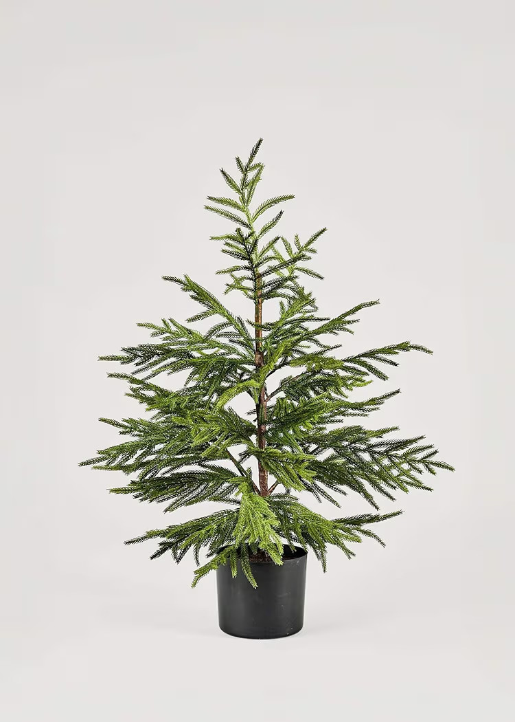 Afloral Artificial Norfolk Pine Tree - 36" | Amazon (US)