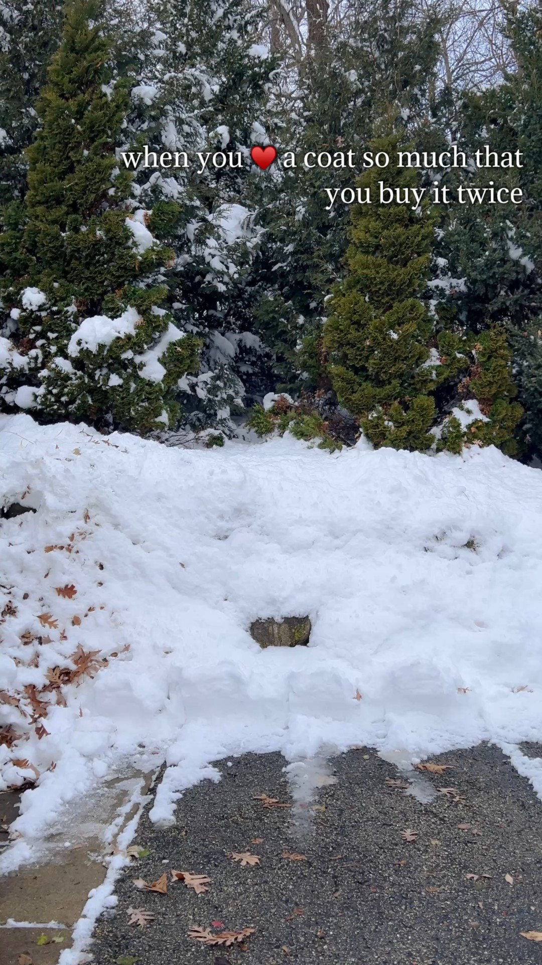 This coat is my #1 go to all winter long. It’s warm and cozy and affordable!
I’m in a size small


#LTKSeasonal #LTKootd #LTKFindsUnder100