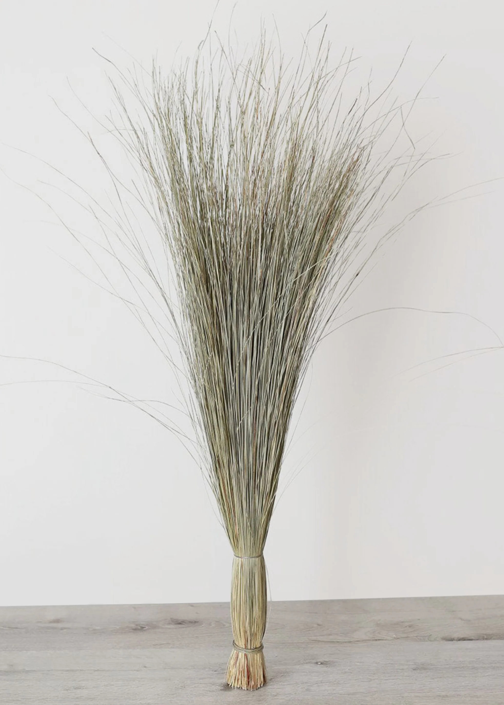 Green Dune Grass | Dried Grasses | Afloral.com | Afloral