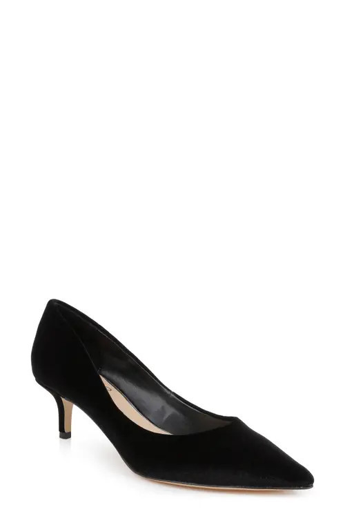 Jewel Badgley Mischka Enola Pointed Toe Kitten Heel Pump in Black Velvet at Nordstrom, Size 5.5 | Nordstrom